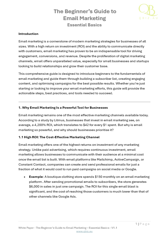 White Paper: The Beginner’s Guide to Email Marketing