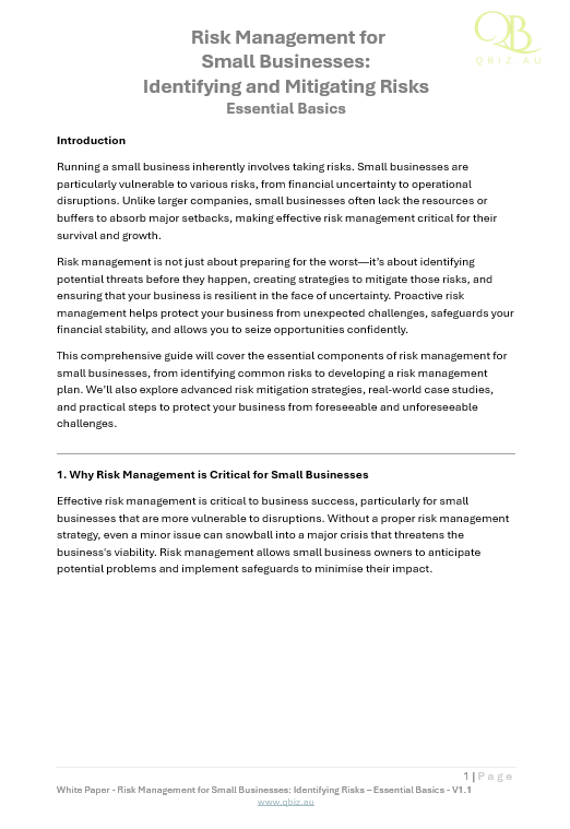 White Paper: Risk Management for Small Businesses